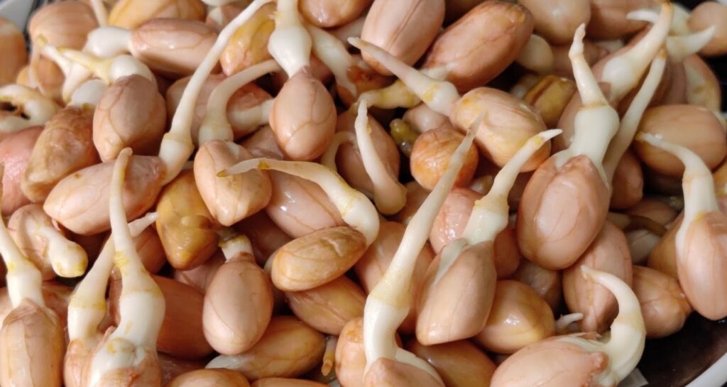 sprouts salad in hindi, peanuts moongfali sprouts salad