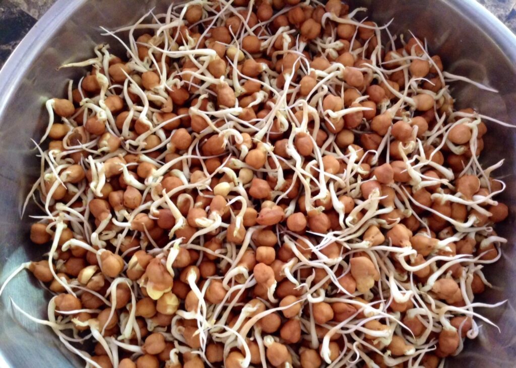 sprouts salad in hindi, black chana sprouts salad, green gram sprout salad